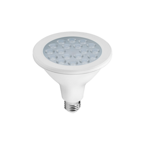 Foco LED PAR 38 16w ECO