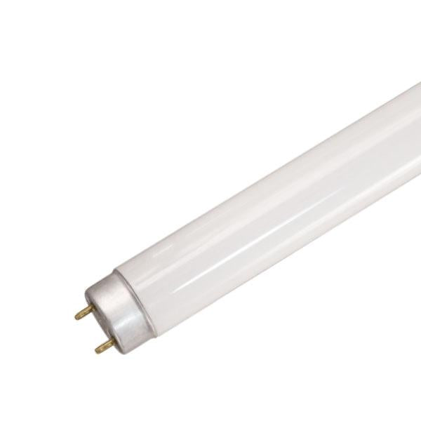 Tubo Fluorescente 32w T8